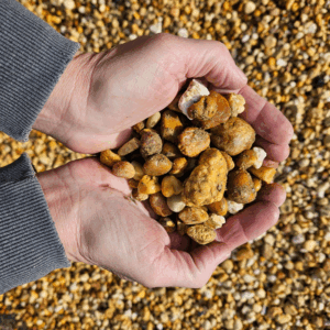3/4" Pebble Beach Stone – Per Ton