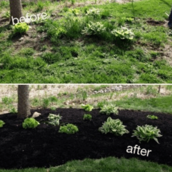 Black Dyed Mulch – Per Cubic Yard - Image 3