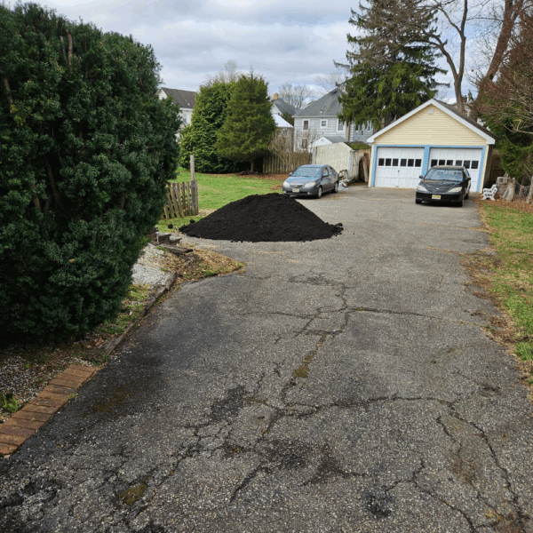 Black Top Soil - Per Cubic Yard - Image 3