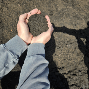 Black Top Soil - Per Cubic Yard