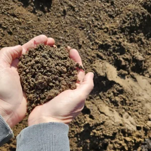 Two hands in a gray sweater cradle a mound of brown soil, with more soil in the background. The scene conveys care and connection to nature.