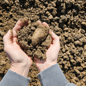 Certified Screened Fill - Per Cubic Yard