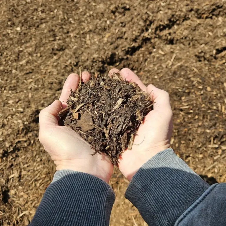 Two hands hold a mound of rich, dark compost, surrounded by more compost. The scene conveys a sense of gardening and sustainability.