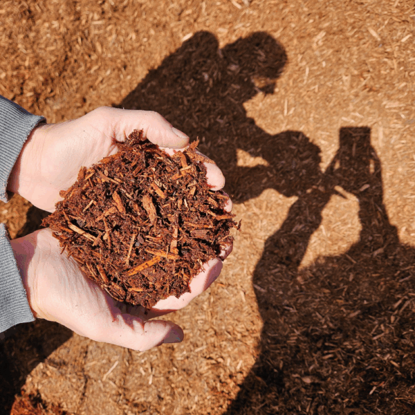 Hemlock Mulch – Per Cubic Yard