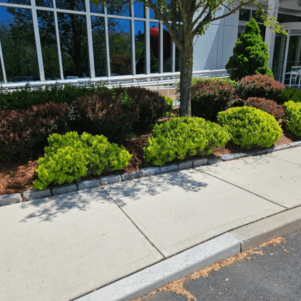 Hemlock Mulch – Per Cubic Yard - Image 3
