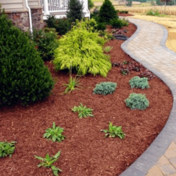 Hemlock Mulch – Per Cubic Yard - Image 4