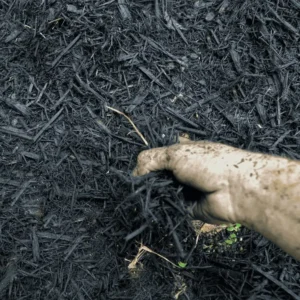 A muddy hand spreads dark mulch over the ground, with small green sprouts visible. The texture of the mulch contrasts with the dirt-covered skin.