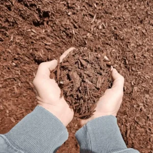 Two hands holding a pile of brown wood mulch against a larger background of mulch. The image conveys a sense of earthy texture and gardening.