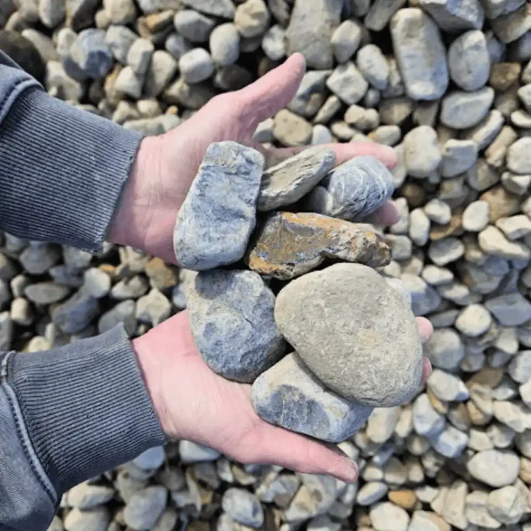 Kirk-Image-Ratio-11-3