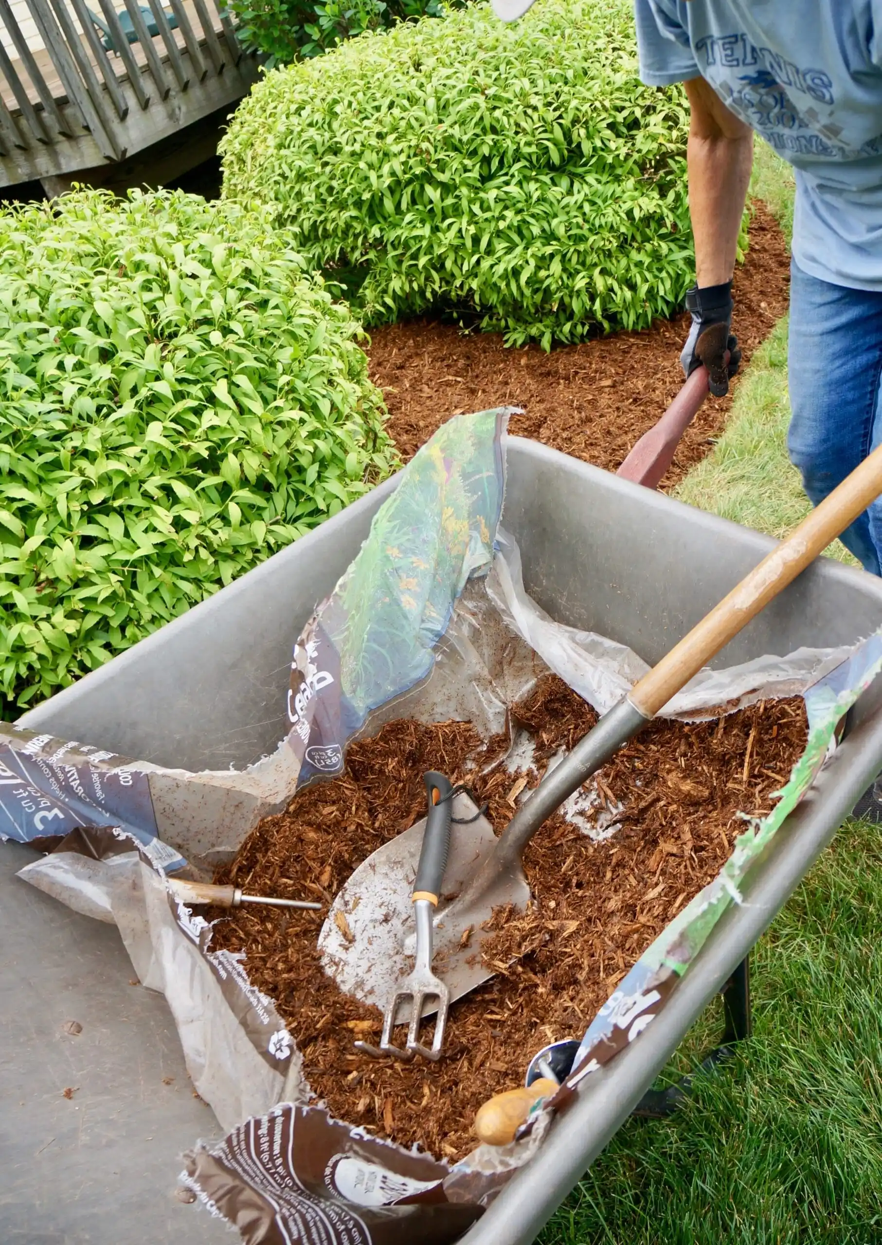 woman-using-a-wheelbarrow-full-of-mulch-as-she-doe-2024-10-14-02-06-19-utc-min
